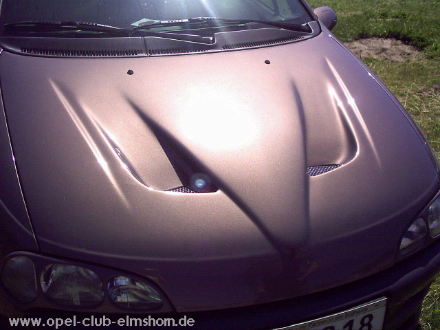 Perleberg-2005-0036-Tigra