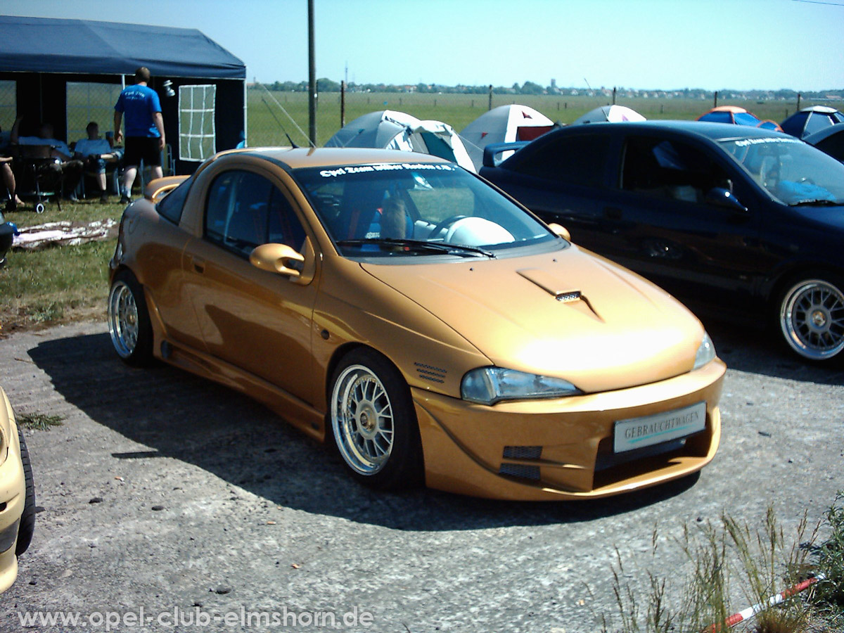 Perleberg-2005-0075-Tigra