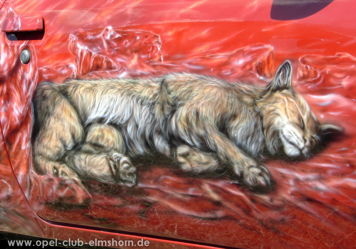 Perleberg-2008-0025-Airbrush-auf-der-Tuer