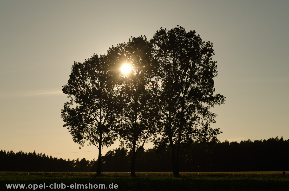 Hasenmoor-2013-0021-Die-Sonne-verschwindet-hinter-den-Baeumen