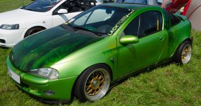 Hasenmoor-2013-0060-Tigra