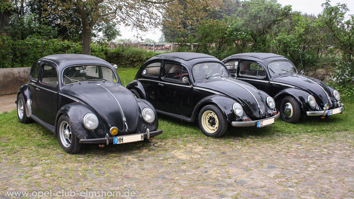 Rosengarten-2014-0045-VW-Kaefer