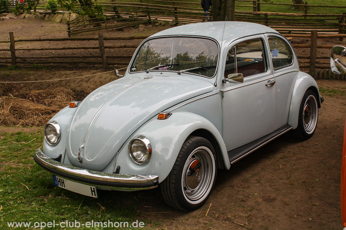 Rosengarten-2014-0048-VW-Kaefer