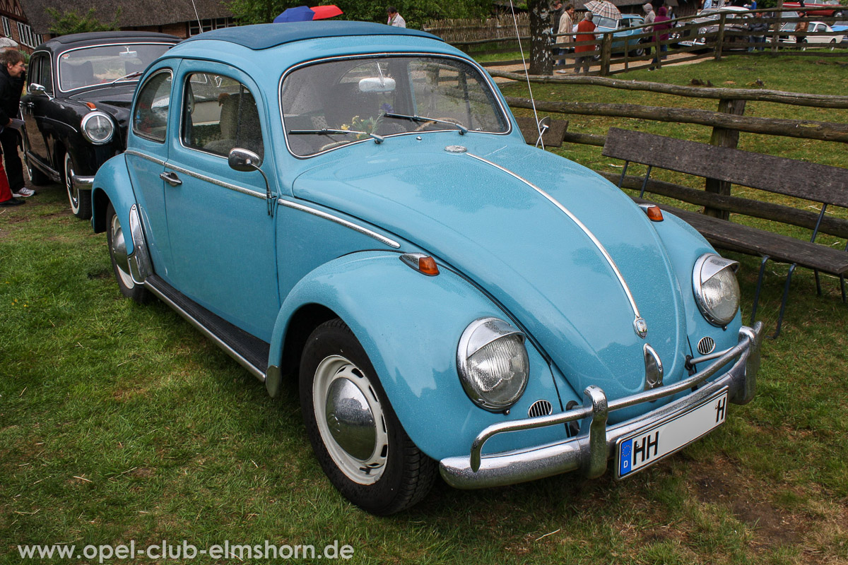 Rosengarten-2014-0060-VW-Kaefer