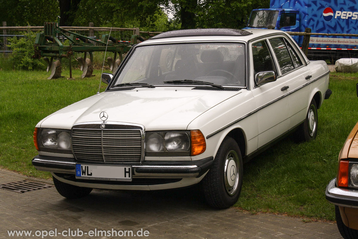 Rosengarten-2014-0133-Mercedes-123