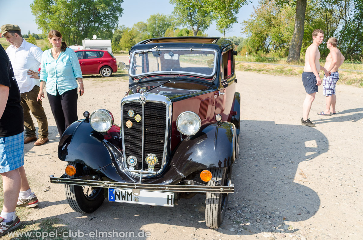 Boltenhagen-2014-0268-Morris-8