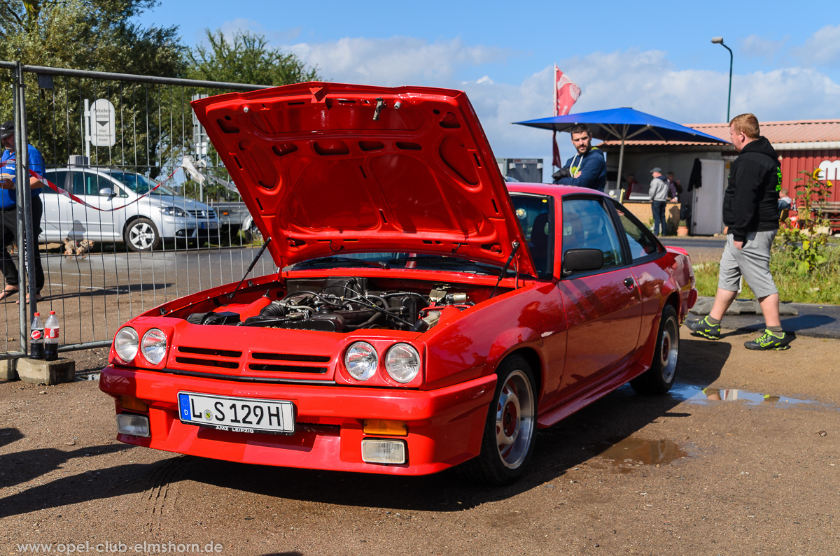 Boltenhagen-2015-0076-Manta-B