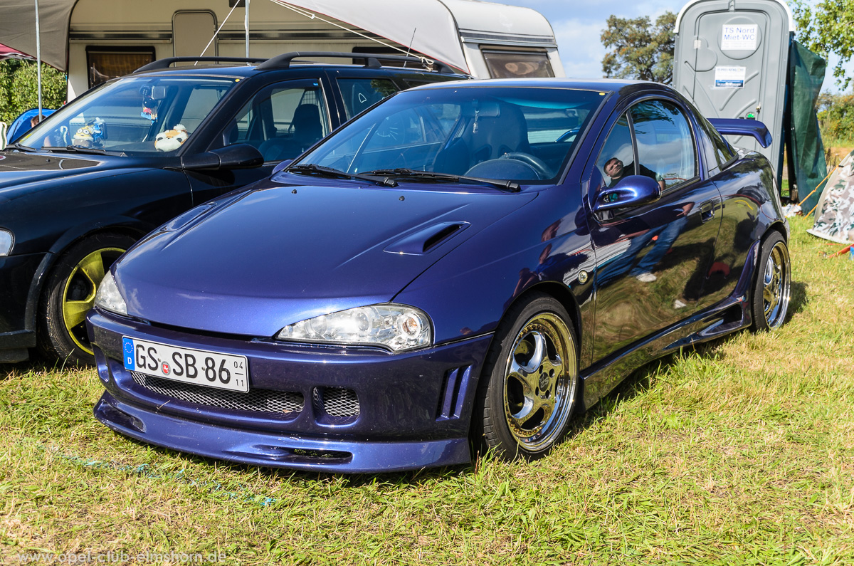Boltenhagen-2015-0145-Tigra
