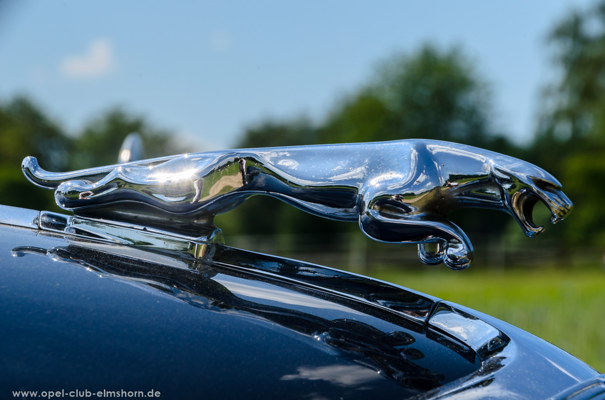 Oldtimertreffen-Rosengarten-Ehestorf-2016-20160605_132516-Jaguar-Kuehlerfigur