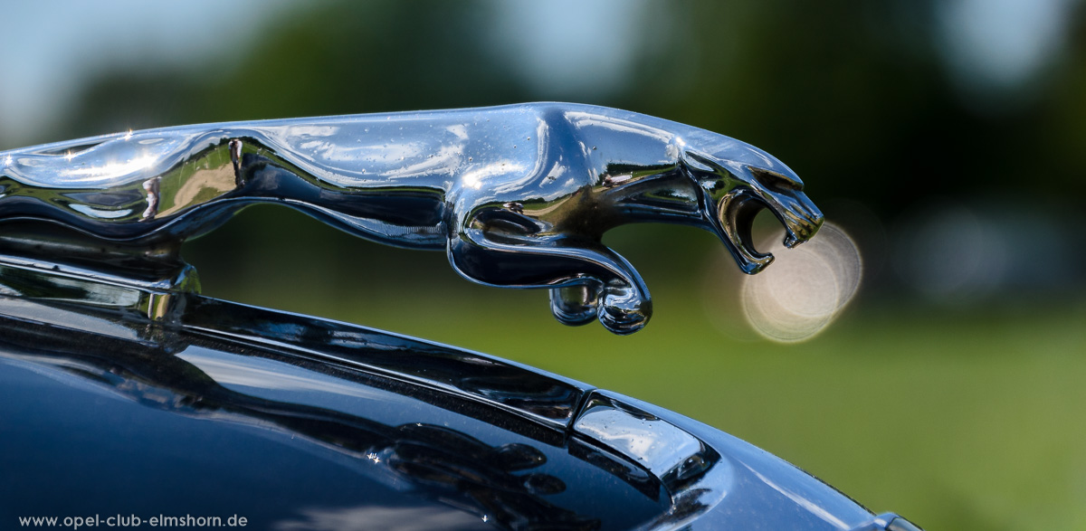 Oldtimertreffen-Rosengarten-Ehestorf-2016-20160605_132530-Jaguar-Kuehlerfigur